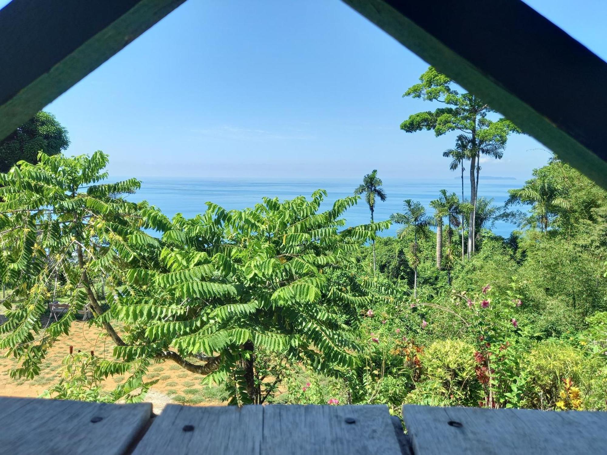 Bella Vista Corcovado Hotel Drake Bay Bagian luar foto