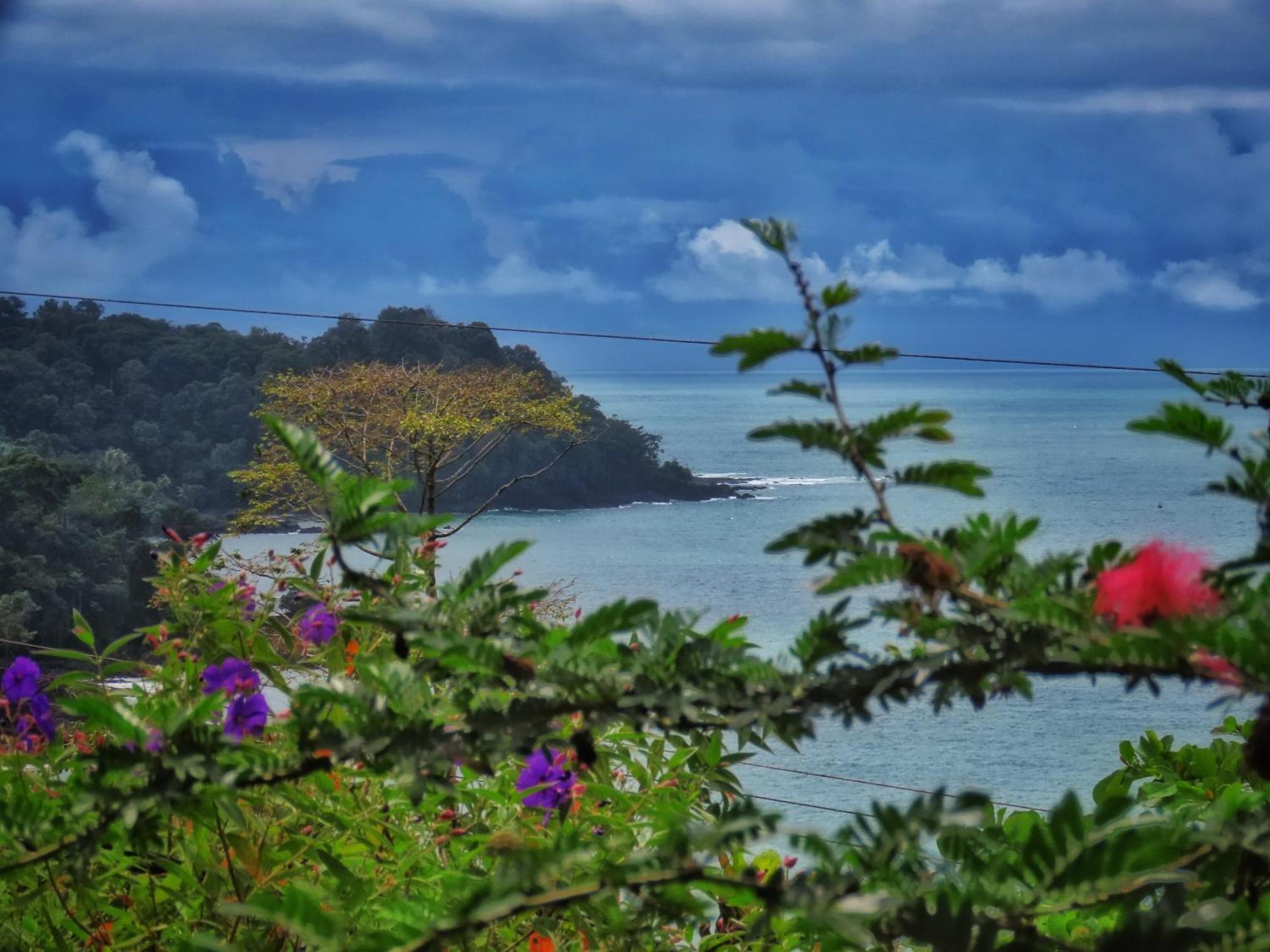 Bella Vista Corcovado Hotel Drake Bay Bagian luar foto